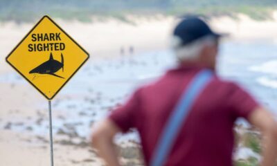 Sydney beaches close after three shark attacks in two days
