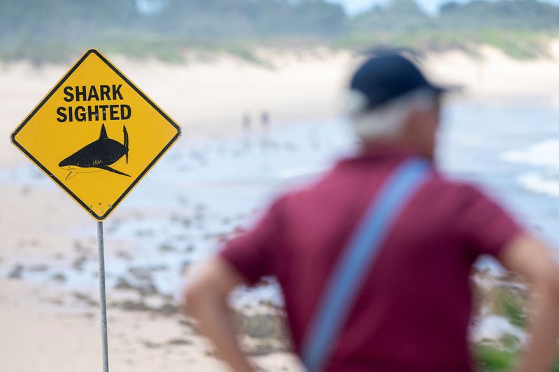 Sydney beaches close after three shark attacks in two days