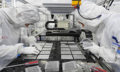 China’s December youth jobless rate drops to 16.5%