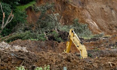 Recovery of New Zealand landslide victims halted on safety concerns