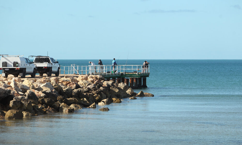 Ningaloo, Shark Bay leaders call for restrictions as demersal ban starts