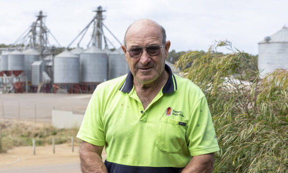 Wandels eye bulk grain exports after mine closure cuts Esperance container trade