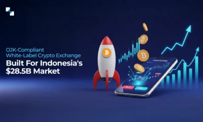 dApp vs App The Decision That Defines Your Product