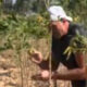 Tyson Fury calls himself ‘raving lunatic’ as he drags tree through potato field while training for comeback in Thailand