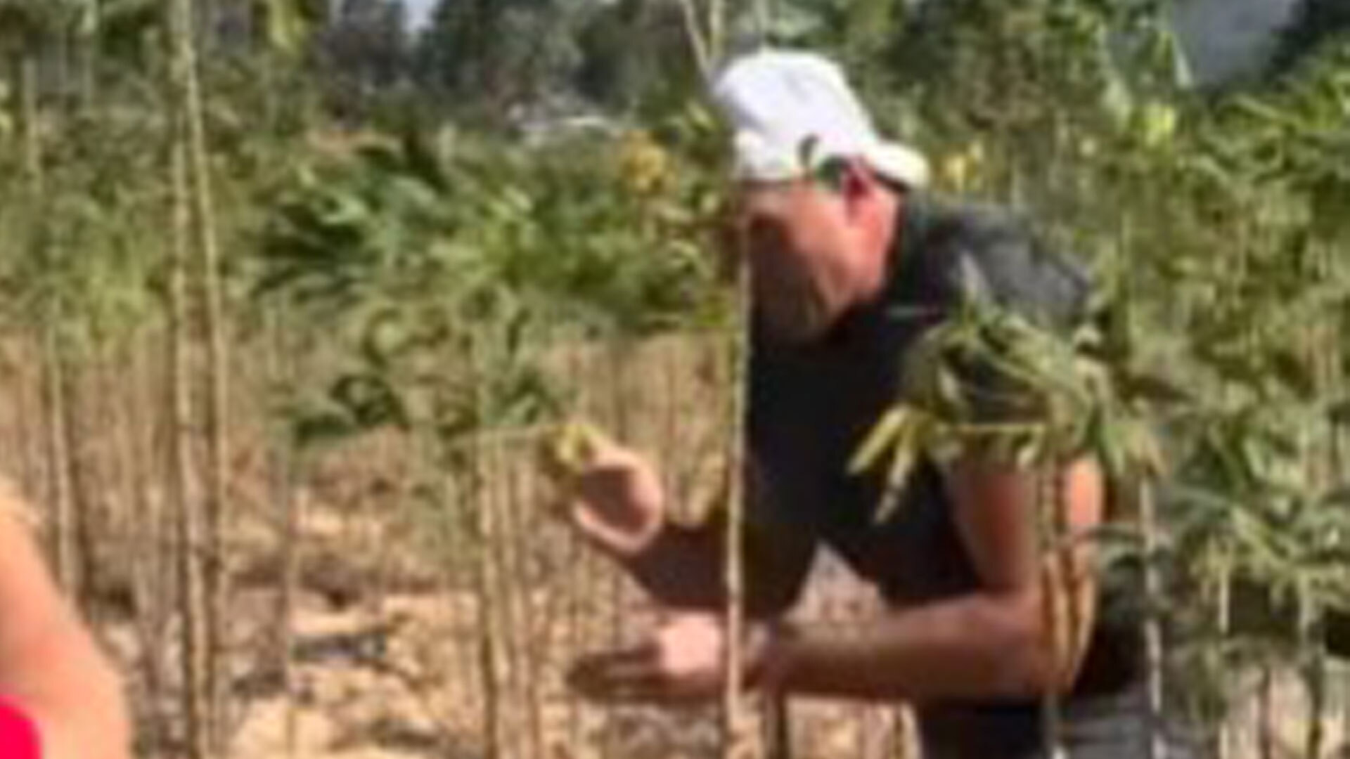 Tyson Fury calls himself ‘raving lunatic’ as he drags tree through potato field while training for comeback in Thailand