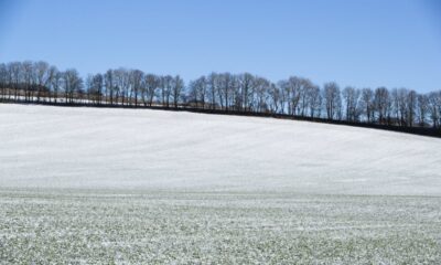 Amber cold health alert extended for the South East as cold snap set to stay longer