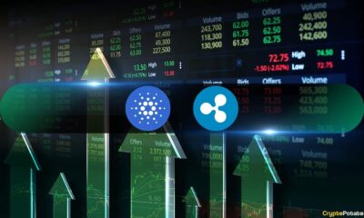 Ripple (XRP) and Cardano (ADA) Show Deeper Undervaluation Than Bitcoin (BTC)