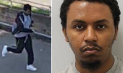 Gore-obsessed schizophrenic killed gran at bus stop with hunting knife he bought online | News UK