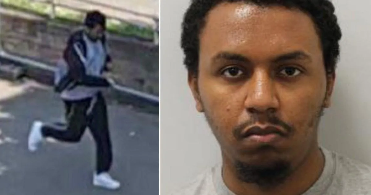 Gore-obsessed schizophrenic killed gran at bus stop with hunting knife he bought online | News UK