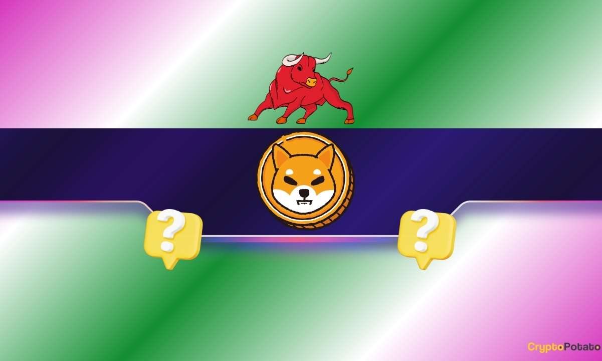 Shiba Inu (SHIB) Surges 15% Weekly: What Are the Next Targets?