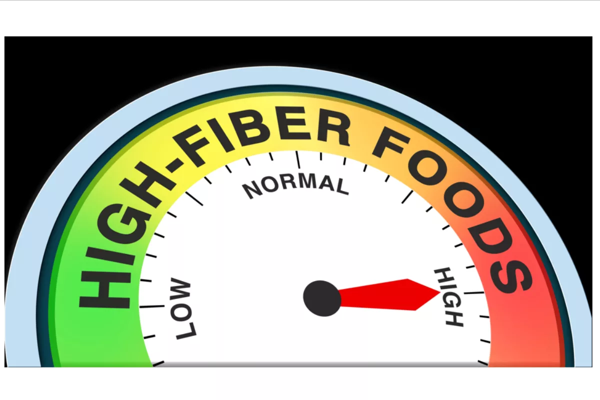 Fiber to fuel innovation in 2026