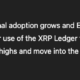 chatgpt predicts xrp