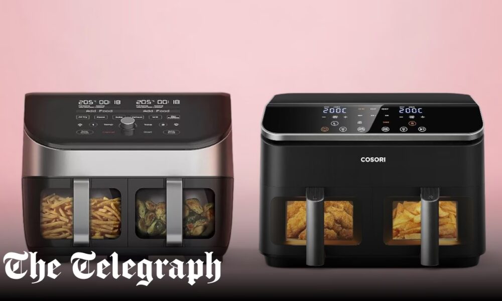 The best dual air fryers in 2026, tried and tested