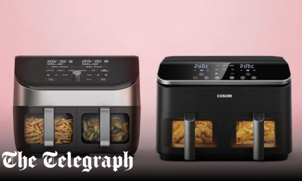 The best dual air fryers in 2026, tried and tested