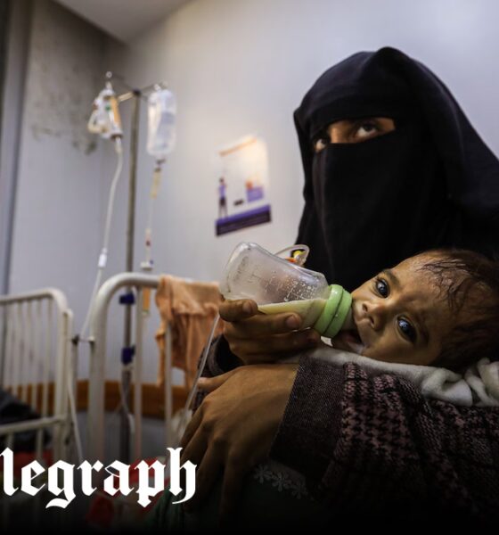 Israel ‘undermined’ health of women and babies in Gaza, researchers say