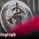 Maga-backed researchers call for WHO to be ‘reformed or replaced’ on eve of US withdrawal