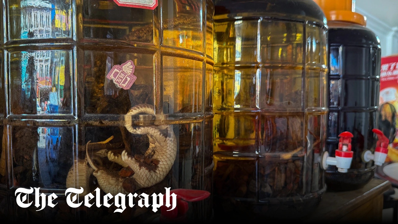 Boiled pangolin for lunch? The rampant trade that could spark a new pandemic