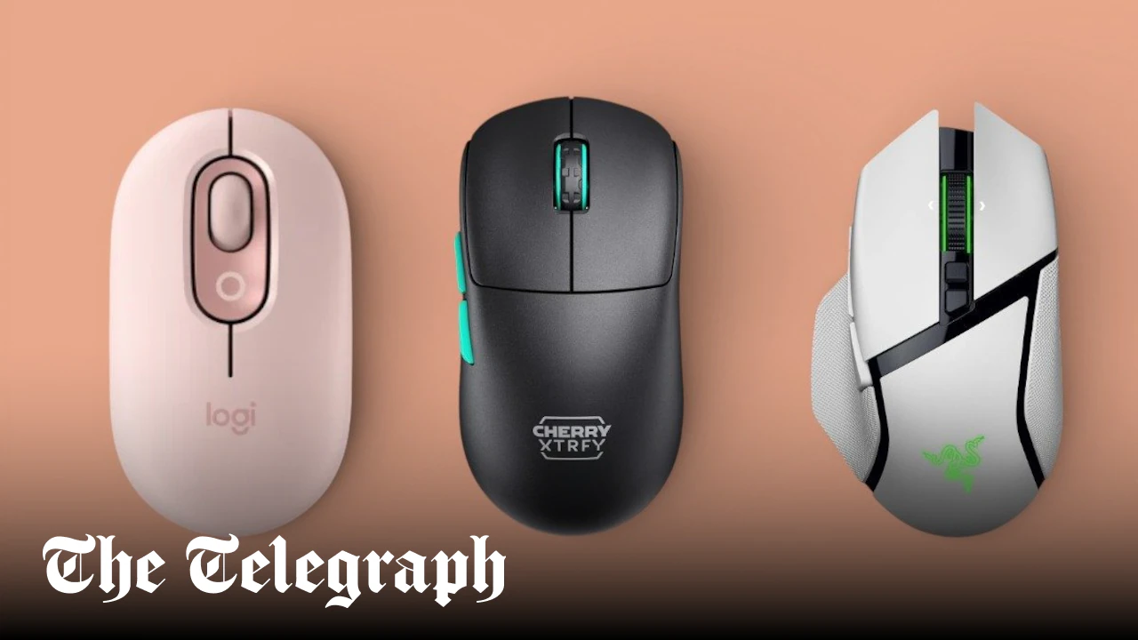 The mice you actually want in your house