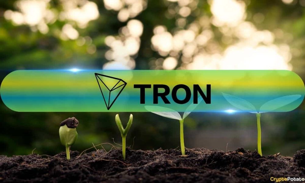 How Well Did the Tron Network Perform in 2025? CryptoQuant Offers Insights