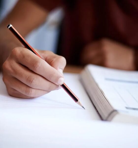 UAE GCSE results 2025