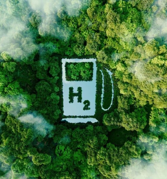 UAE green hydrogen UK