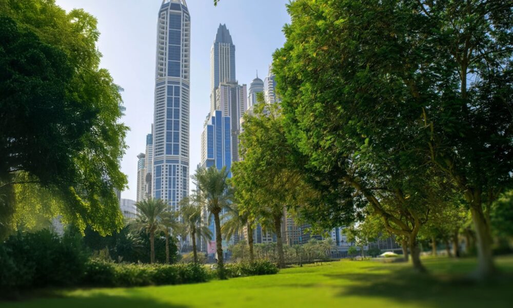 UAE park investments
