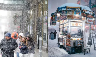 US Winter Storm 2026 - Power Outages, Global Weather Disasters & Safety Tips