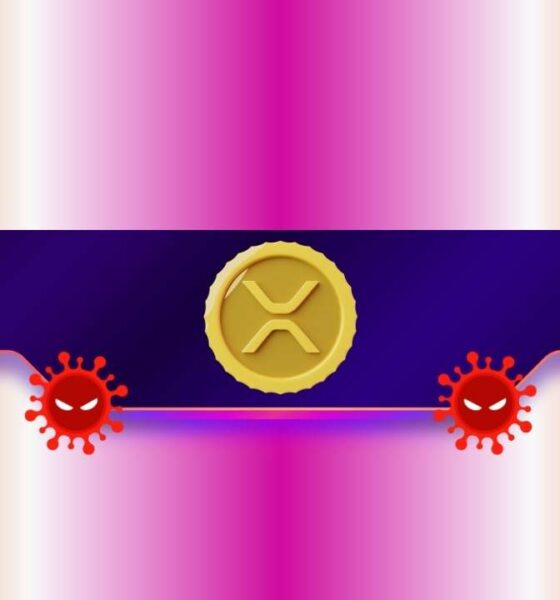 Why Is Ripple's Price Down Today and What's Next for XRP?