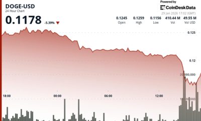 DOGE slumps 7% as bitcoin loses ground in risk-off trade