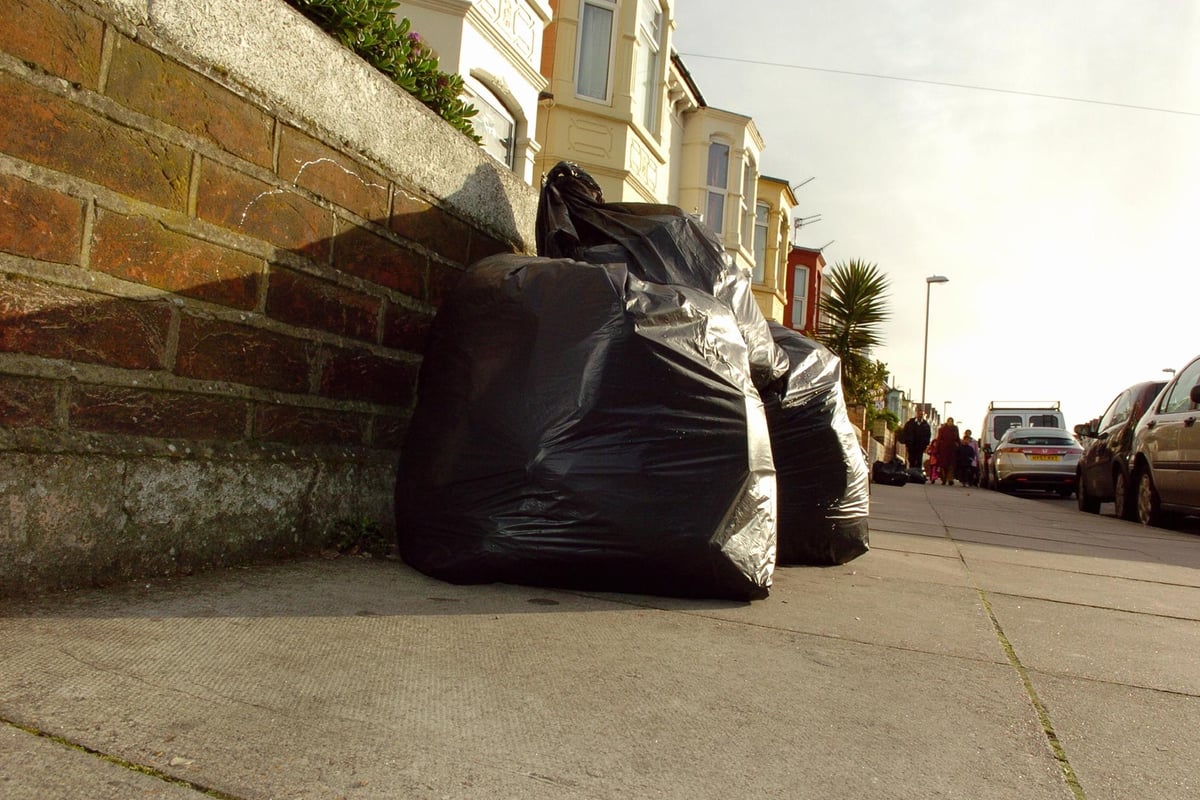No bin changes for Portsmouth as new recycling rules approach