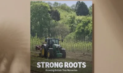 Boosting domestic tree production essential to hit Government climate and nature targets, warns new report