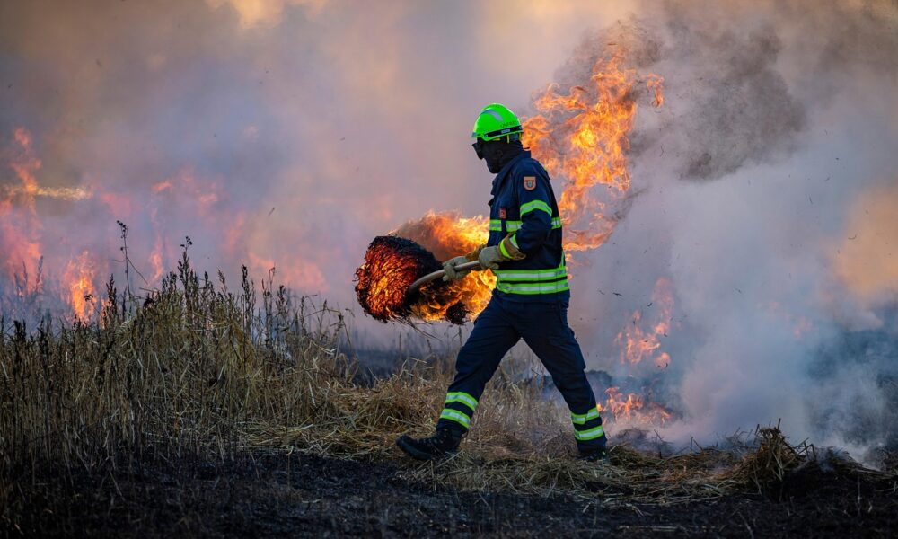 Bushfires: Calmer Weather Helps, But 12 Major Blazes Still Burning