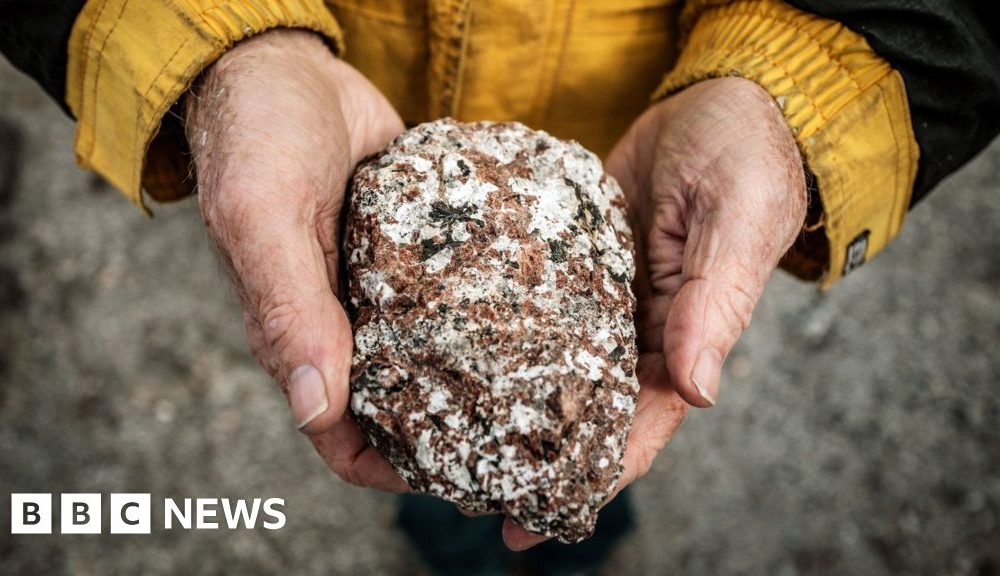 Trump covets mineral-rich Greenland, but what natural resources does it actually have?