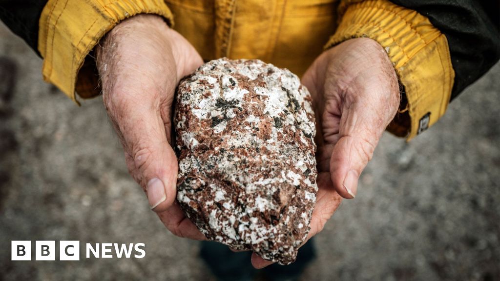 Trump covets mineral-rich Greenland, but what natural resources does it actually have?