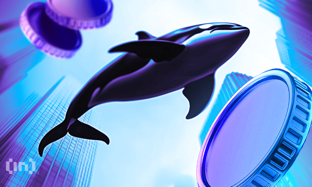 How Are Litecoin Whales Positioning as LTC Trades 46% Down