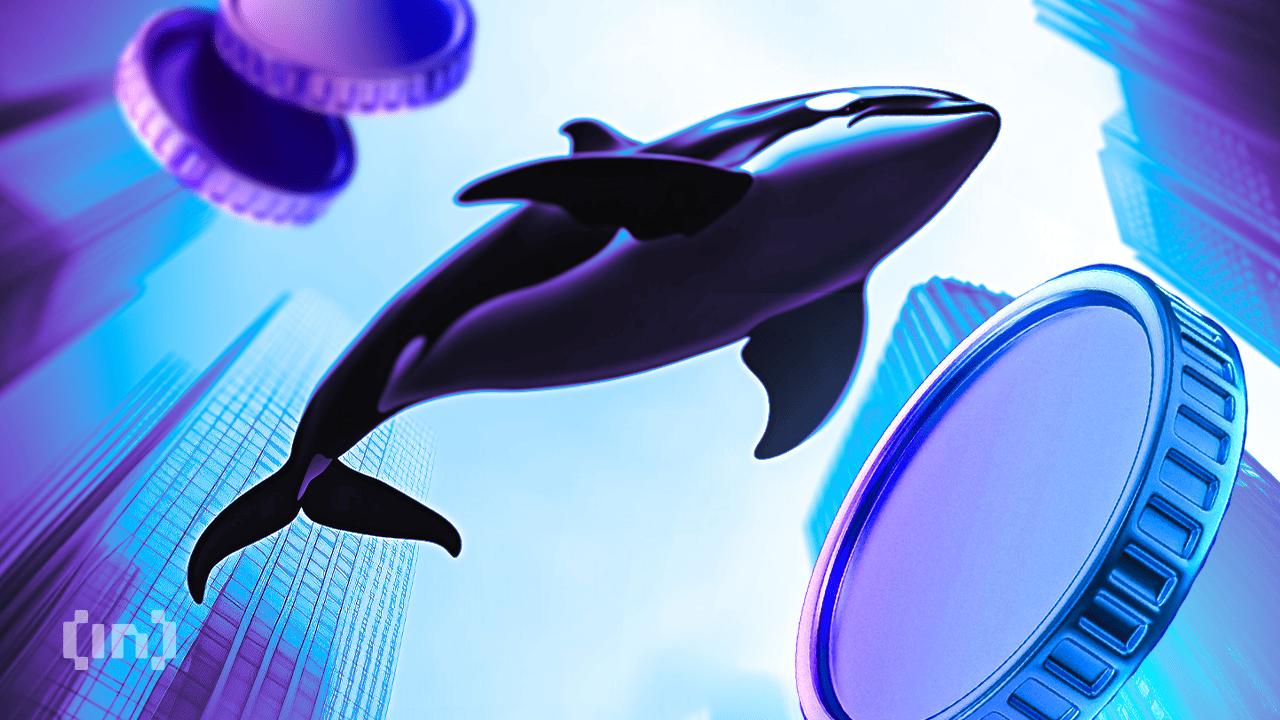 How Are Litecoin Whales Positioning as LTC Trades 46% Down