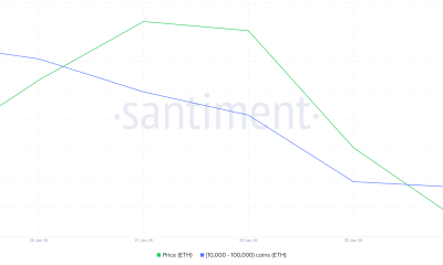 Ethereum Whale Holding.