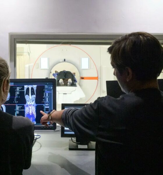 Healthcare industry looks to advance cancer detection with help from AI