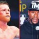 Floyd Mayweather answers whether Canelo is ‘washed up’ after Crawford loss