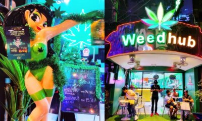 Thailand closes over 7,000 cannabis shops in 2025 following implementation of stricter regulations