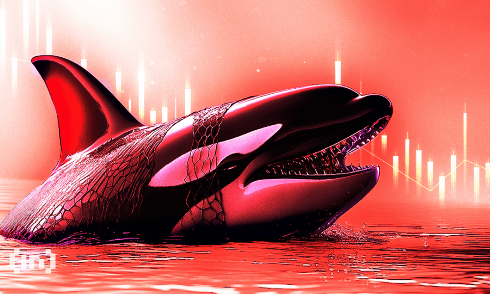 Bitcoin Mempool and Transaction Fees. Source: Willy Woo