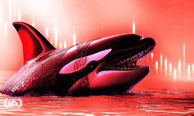 Bitcoin Mempool and Transaction Fees. Source: Willy Woo