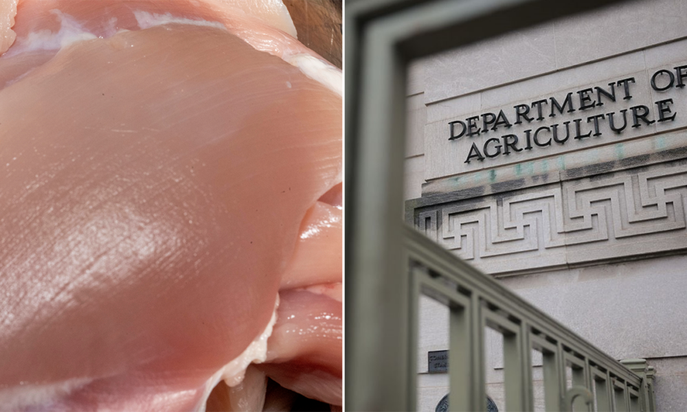 Chicken recall: 13K pounds pulled over listeria contamination fears
