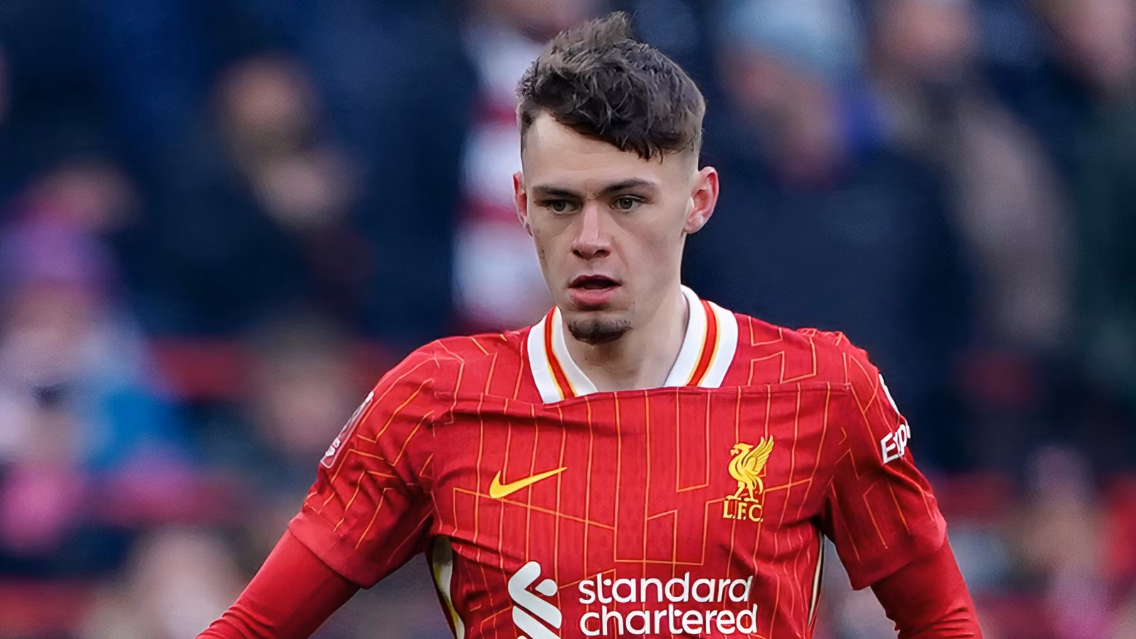 Liverpool Star Conor Bradley Out For Season After Knee Injury