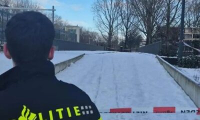 Driver 'beaten' to death after trying to stop snowball ambush on his car