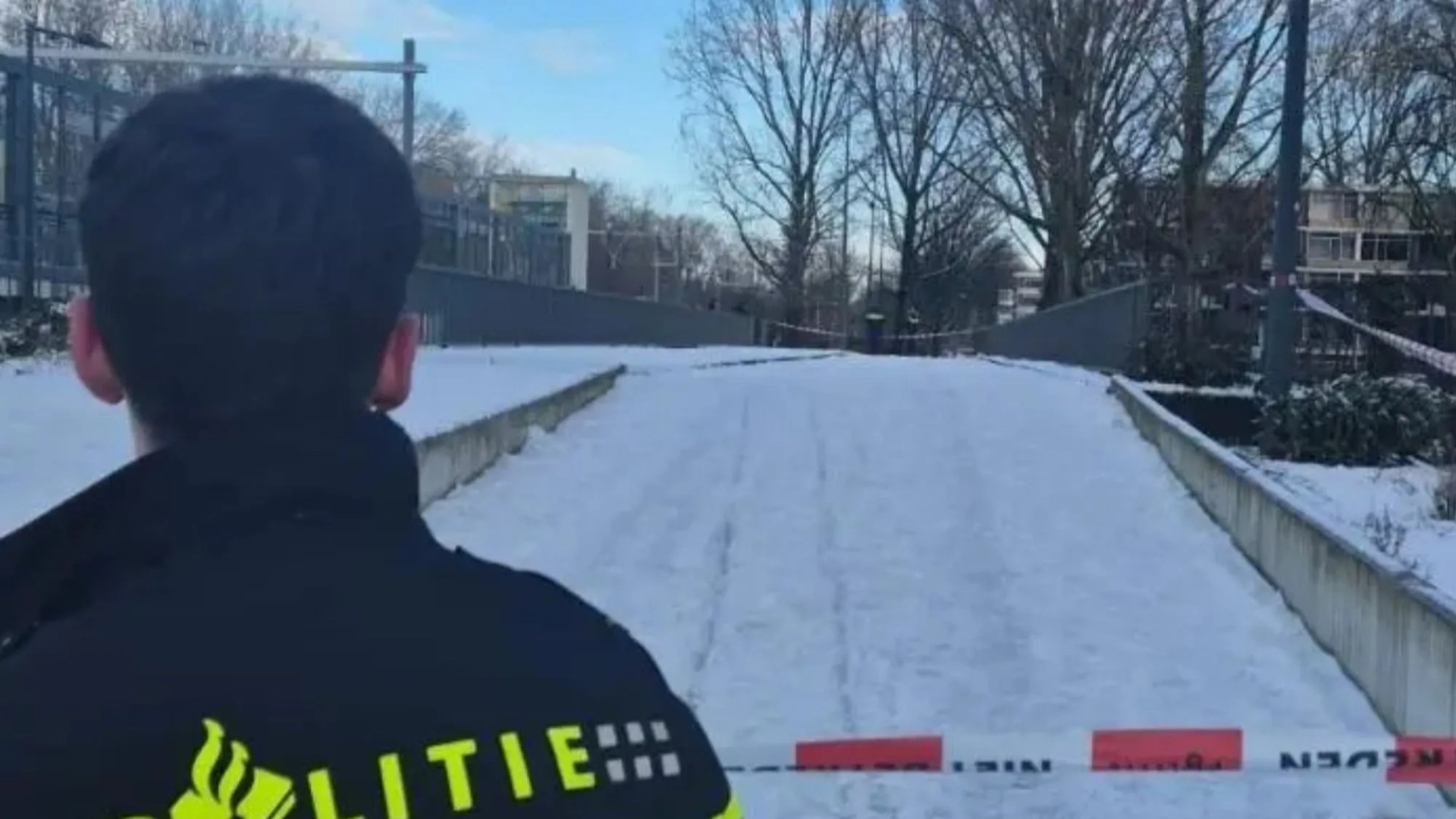 Driver 'beaten' to death after trying to stop snowball ambush on his car