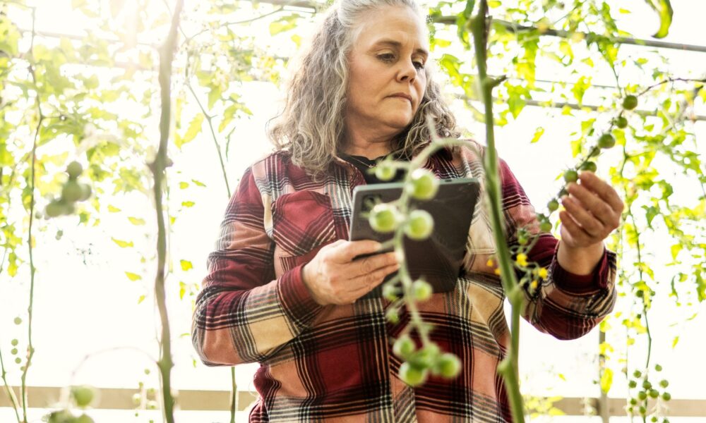 Gardening expert reveals top tips on 'biosecurity' to keep your garden healthy amid growing concern of diseases