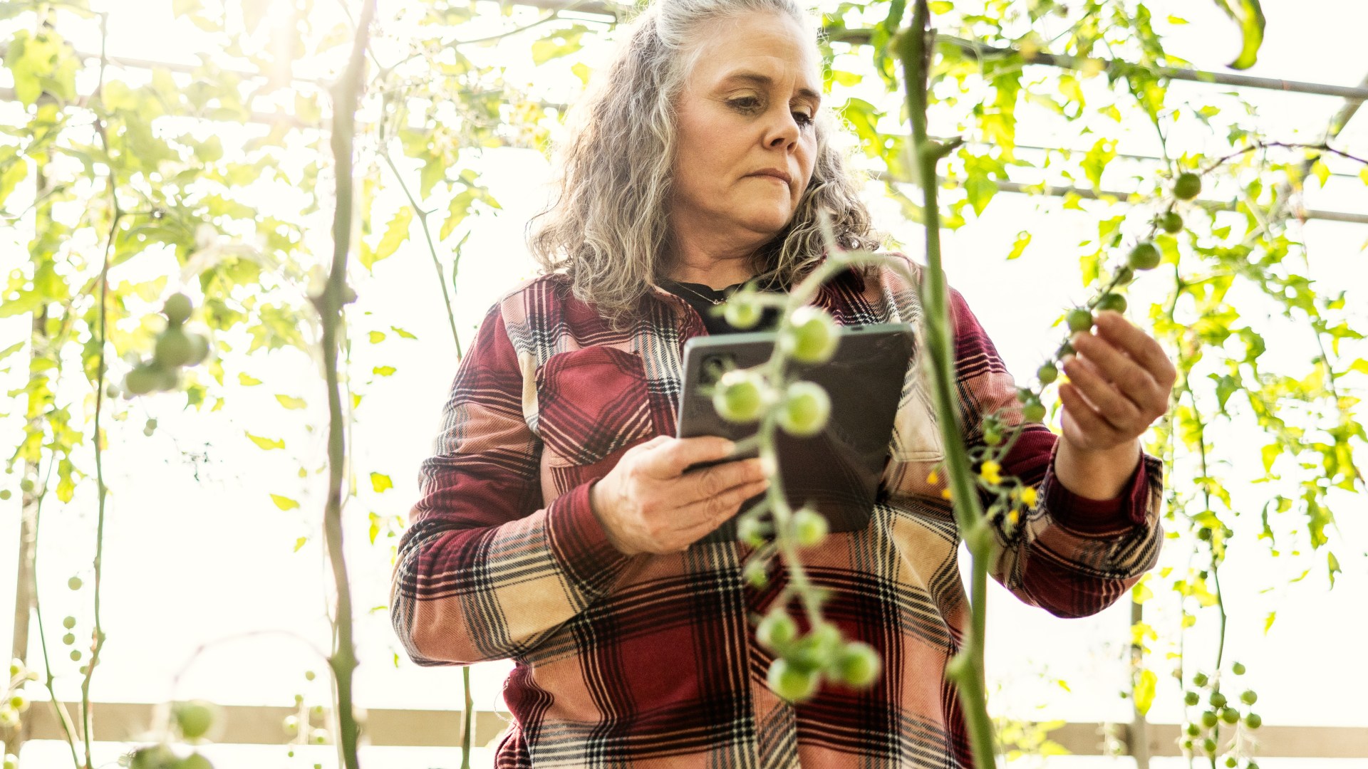 Gardening expert reveals top tips on 'biosecurity' to keep your garden healthy amid growing concern of diseases