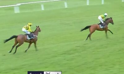 'He'll be coming back' - Sir Gino update after Nicky Henderson superstar suffered heartbreaking Cheltenham injury