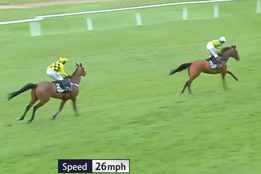 'He'll be coming back' - Sir Gino update after Nicky Henderson superstar suffered heartbreaking Cheltenham injury